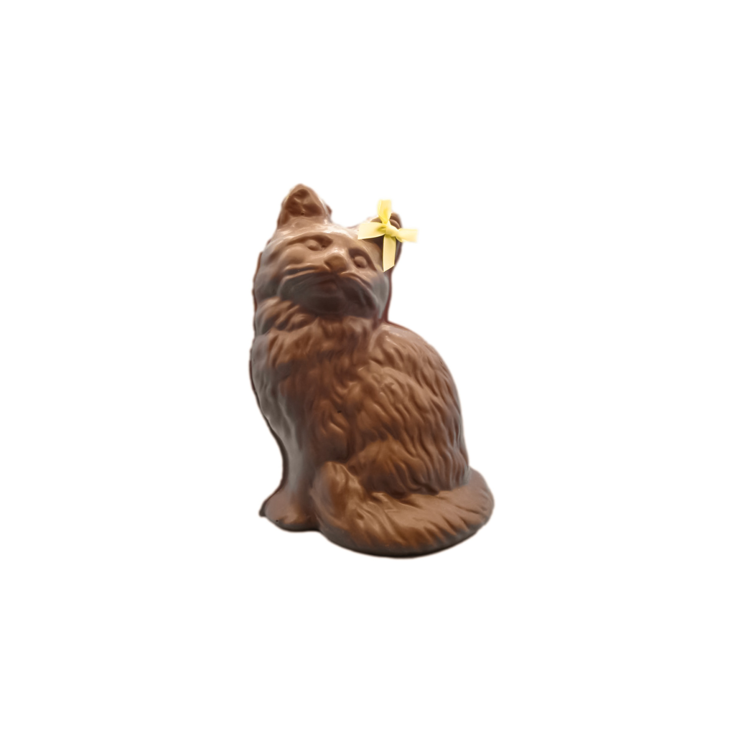 fluffy the cat