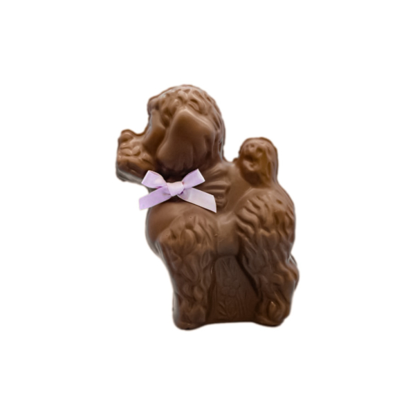 poodle