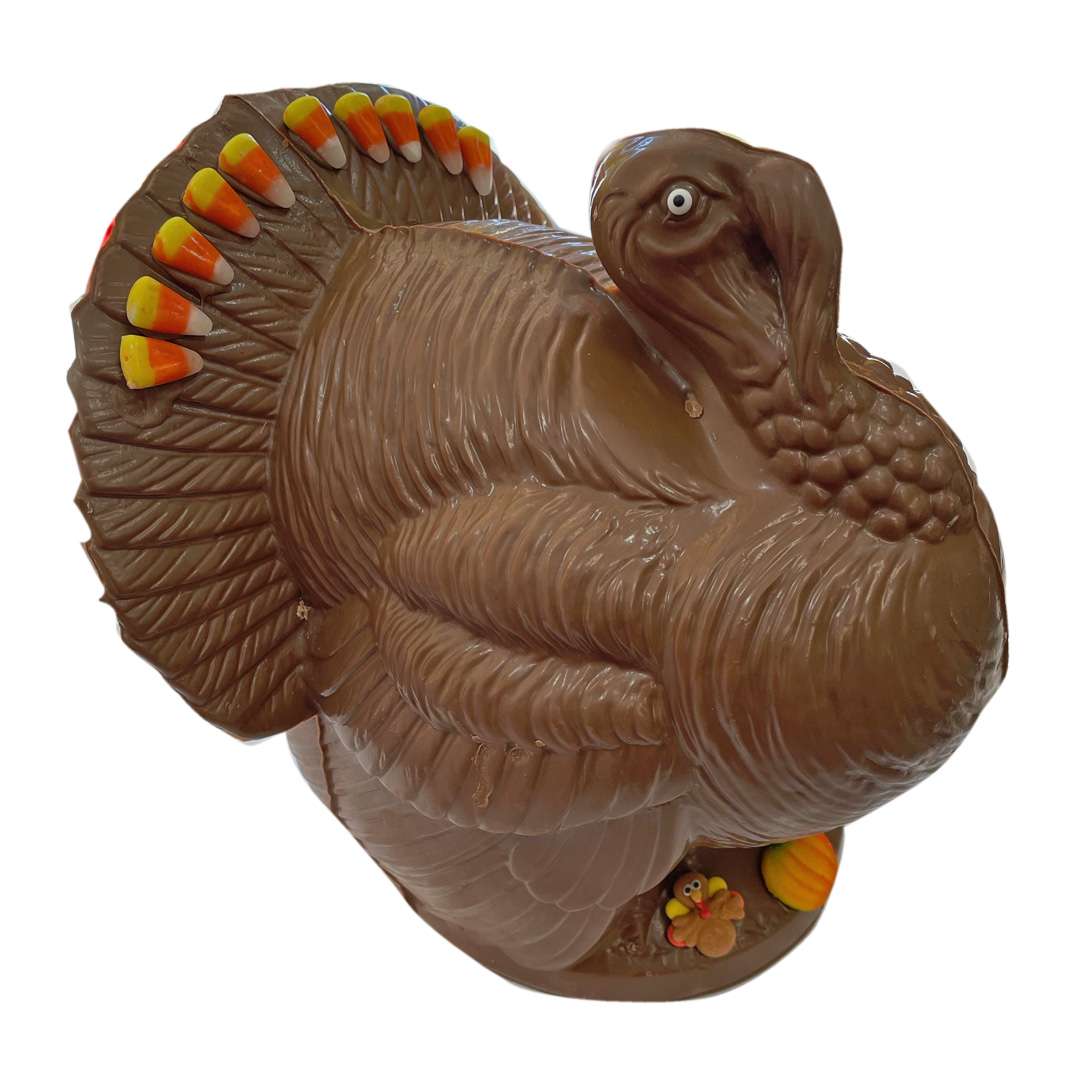 Large_Turkey2
